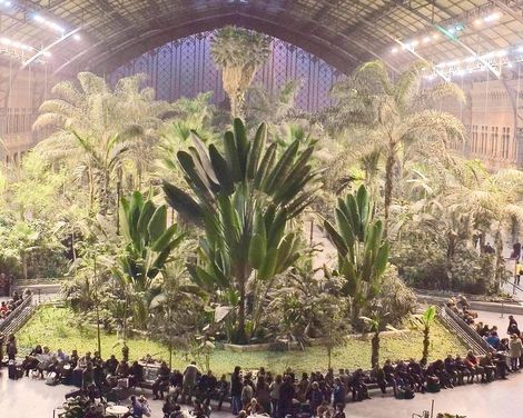 Mercure Madrid Centro-1