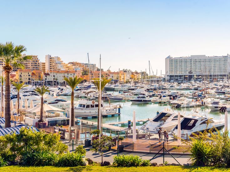 Blick auf einen kleinen Hafen in Faro. Boote und Palmen