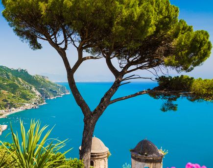 Ischia an der Amalfiküste mit Blick auf Baum und Dächer einer alten Kirche die an der Küste zum Meer stehen.