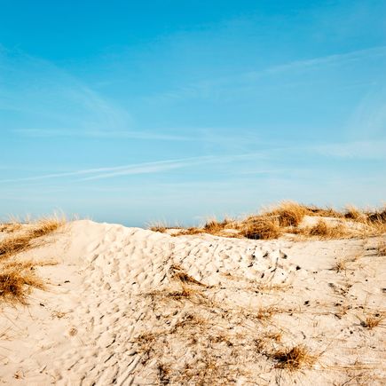 Kilometerlange Sandstrände an der Küste von Halland