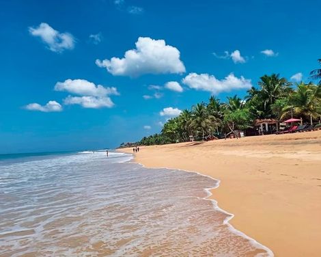 Temple Tree Resort & Spa-3