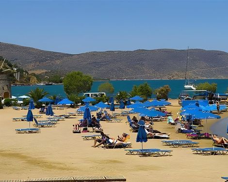 Aristea-1