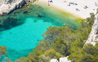Türkisblaues Wasser in einer Felsenschlucht oder Grotte mit üppiger Vegetation.