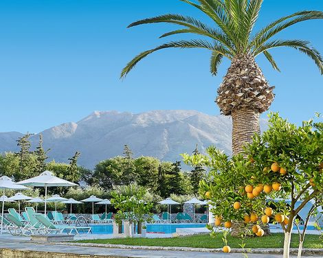 Vardis Olive Garden-4