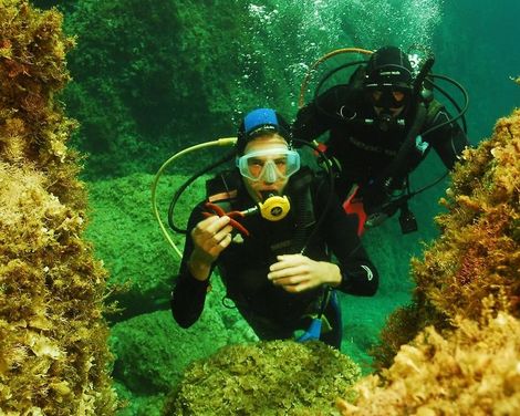 Kalypso Cretan Village Sense Resort & Spa-3