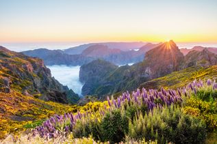 Blick aus dem Gebirge über Madeira