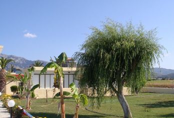 Hotel, Oasis Tigaki