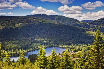 Schwarzwald Blick auf See und Berge