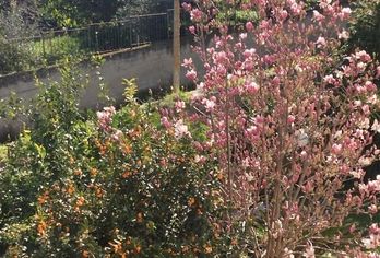 Hotel, Villa Saturno