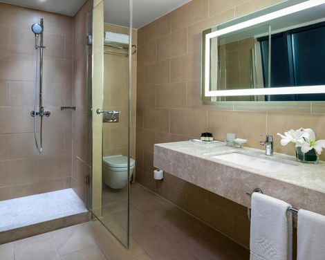 Windsor Hotel & Convention Center Istanbul-0