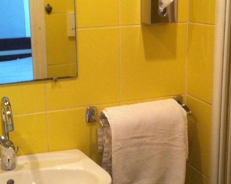 Le Windsor, Jungle Art Hotel-1