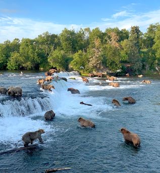 Katmai National Park