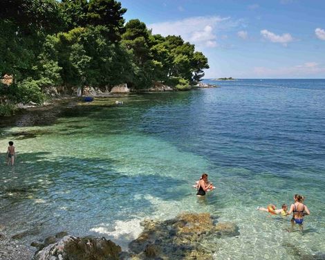 Apartments Galijot Plava Laguna-0