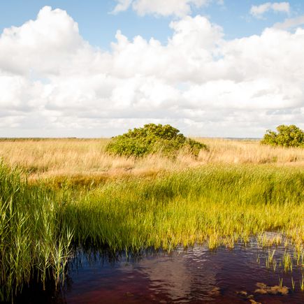 Ferienhaus Urlaub Dänemark Wiese und Wasser
