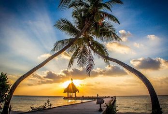 Hotel, Canareef Resort Maldives