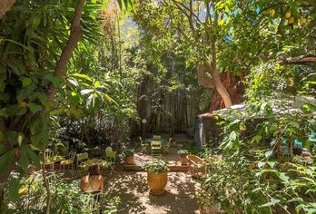 Hotel, Le Windsor, Jungle Art Hotel