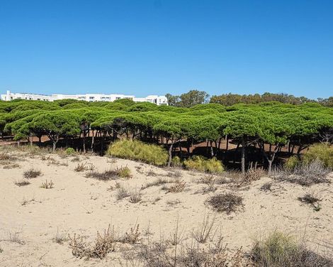 Estival Isla Cristina-2