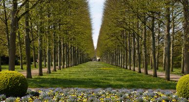 Hotels Celle