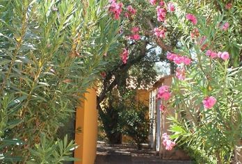 Hotel, Adonis Borgo Résidence Cala Bianca