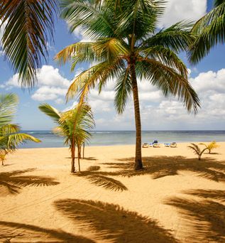 Strand in der Dominikanischen Republik