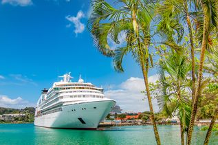 Kreuizfahrtschiff im HAfen von St. Lucia. Rechts im Bild Palmen 