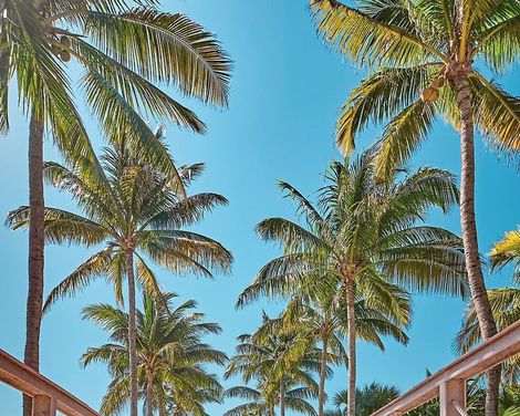 Roc Arenas Doradas-2