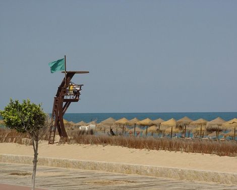 Apartamentos Turísticos Jardines del Plaza-0