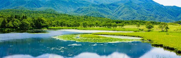 Blick auf einen Sie im Nationalpark. Dahinter schneebedeckte Bäume und blaue Himmel.
