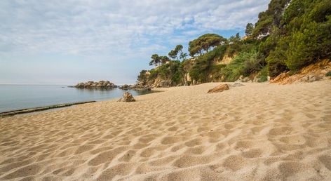 htop Platja Park