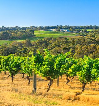 Wilyabrup in Australien