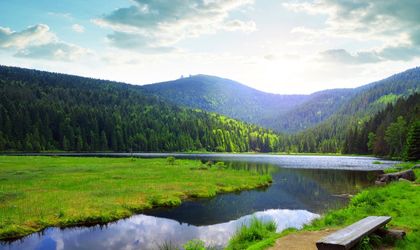 Kleiner Arbersee im Nationalpark Bayerischer Wald