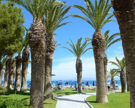 Blue Horizon Beach Resort-2