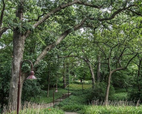 Hampton Inn Chicago Downtown N Loop/Michigan Ave-2