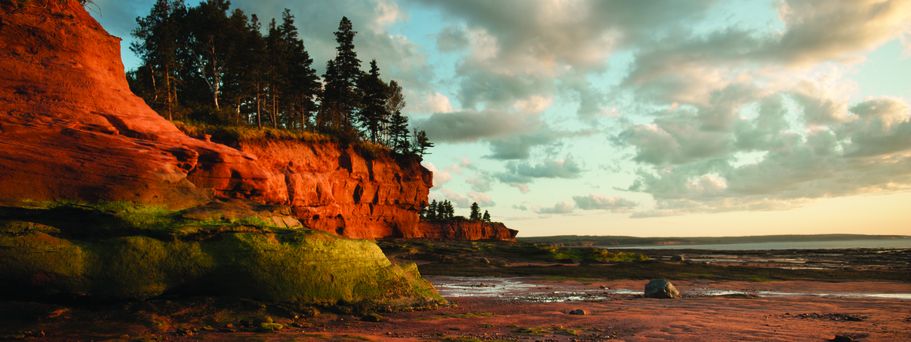 Blick auf den Burntcoat Head in der Bay of Fundy