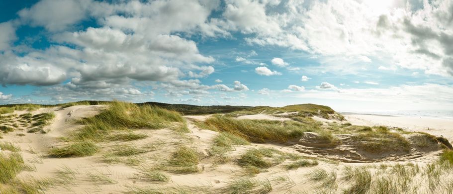 Traumhafte Stranddünen in Bergen aan Zee