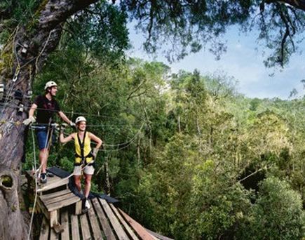 Zip Line in Süfdafrika