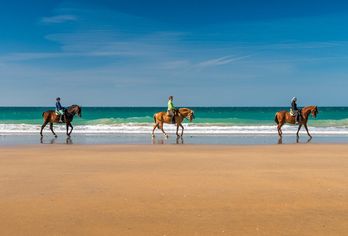 Hotel, Hotel Fuerte Conil-Resort