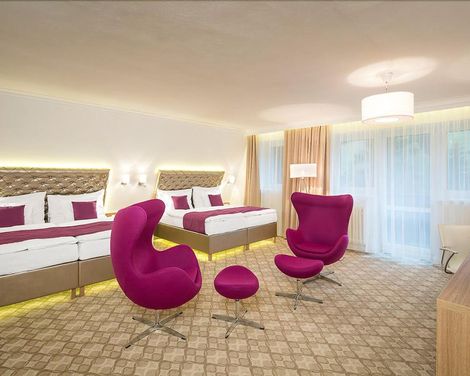 Pytloun Wellness Hotel Harrachov-0