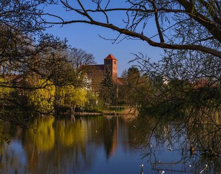 Ein ruhiger See in Waren an der Müritz, umgeben von Bäumen und einem Gebäude.