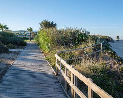 Best Costa Ballena-2