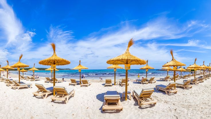 Sonnenschirme und Liegestühle am Sandstrand von Sa Coma. Blauer Himmel.