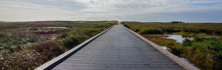 Greune Stee, ein Steg.