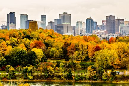 Eine beeindruckende Skyline von Montreal, Kanada, erstreckt sich entlang eines Gewässers und zeigt eine Mischung aus modernen und historischen Gebäuden unter einem klaren blauen Himmel.