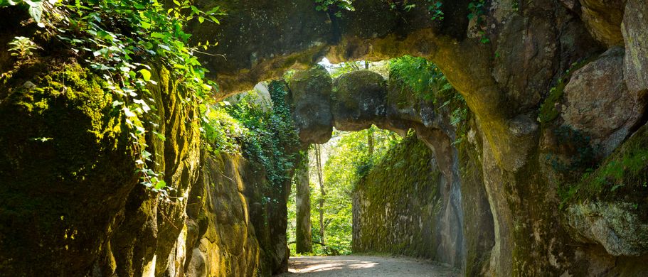 Blick in den Naturpark Quinta da Regaleira