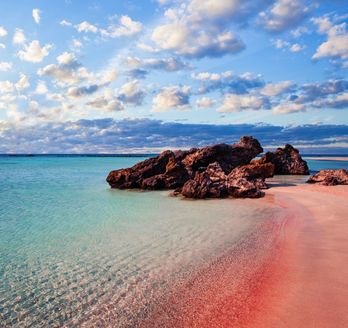 Ein rosa Sandstrand mit türkisfarbenem Wasser.