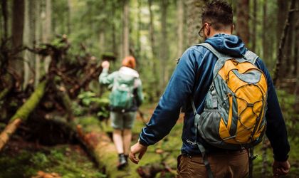 Ein Wanderer mit Rucksack geht auf einem Weg durch einen sonnigen Wald.