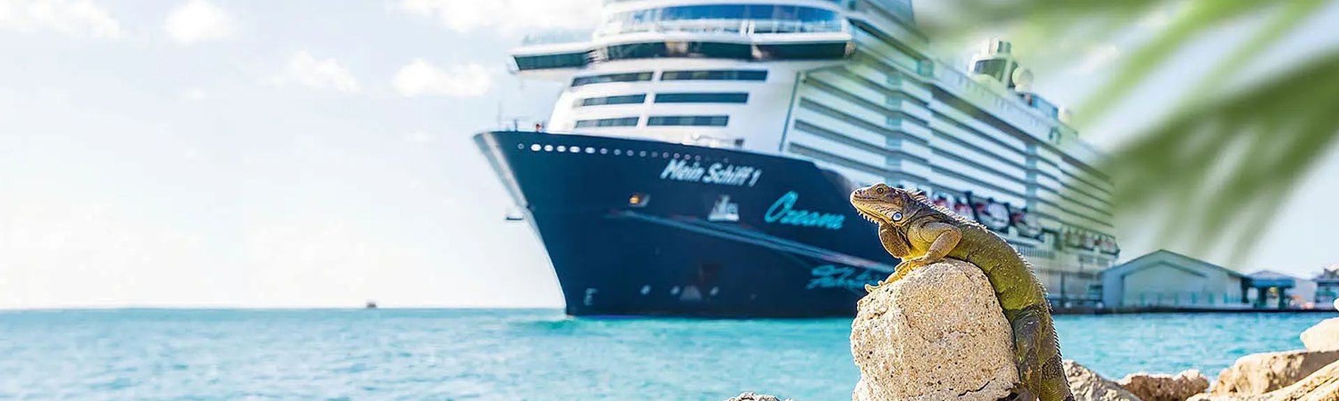 Mein Schiff