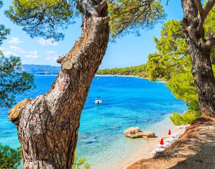 Hvar Strand Bäume