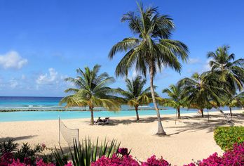 Coconut Court Beach Hotel