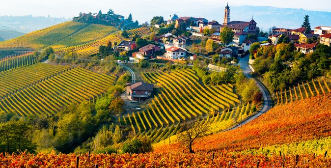 In der Ferne ein kleines Dorf, inmitten eines Weinguts und somit umgeben von Weinreben. Im Vordergrund herbstliche Pflanzen und Bäume. Blauer Himmel